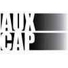 Auxiliary Capital 