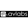 Artificial Visual Labs 