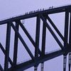 BridgeClimb Sydney