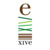 XIVE Group
