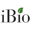 iBio