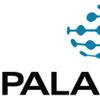 Palamida