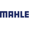 Mahle Powertrain
