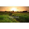 Summer Field Productions