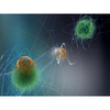Quantum teleportation