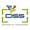 DSS Imagetech