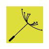 Clean Energy Prospector