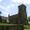 Chardstock