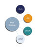 TransCode Therapeutics