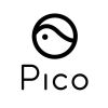 Pico Interactive