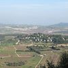 Sasa, Israel