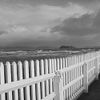 Petone