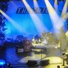 The Cribs