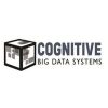 Cognitive Big Data Systems