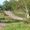 Oxshott