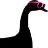 Black Swan Learning