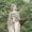 Odile of Alsace
