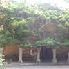 Bicknell Museum