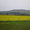 Longview, Alberta