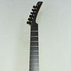 Parker Guitars