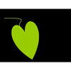 Thrive Story