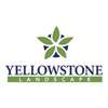 Yellowstone Landscape