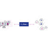 Skyflow.io