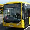 Yellow Buses