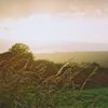 Abinger