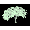 Verte Capital