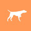 Birddog