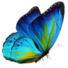 Chrysalis Acquisition Partners