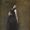 Maria Oakey Dewing