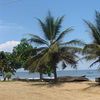 Kribi