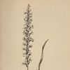 Margaret Warriner Buck