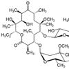 Clarithromycin