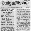Daily Dispatch