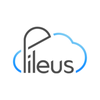 Pileus