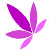 IMPACT Network