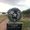 Rio Grande City, Texas
