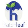 Hatchleaf