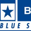 Blue Star Infotech