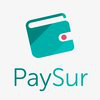 Paysur