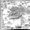 Benedetto Bordone