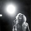 Margo Timmins