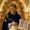 Dominican Order