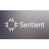 Sentient Control Systems