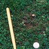 Wiffle ball