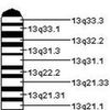 Patau syndrome