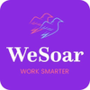 Wesoar Limited